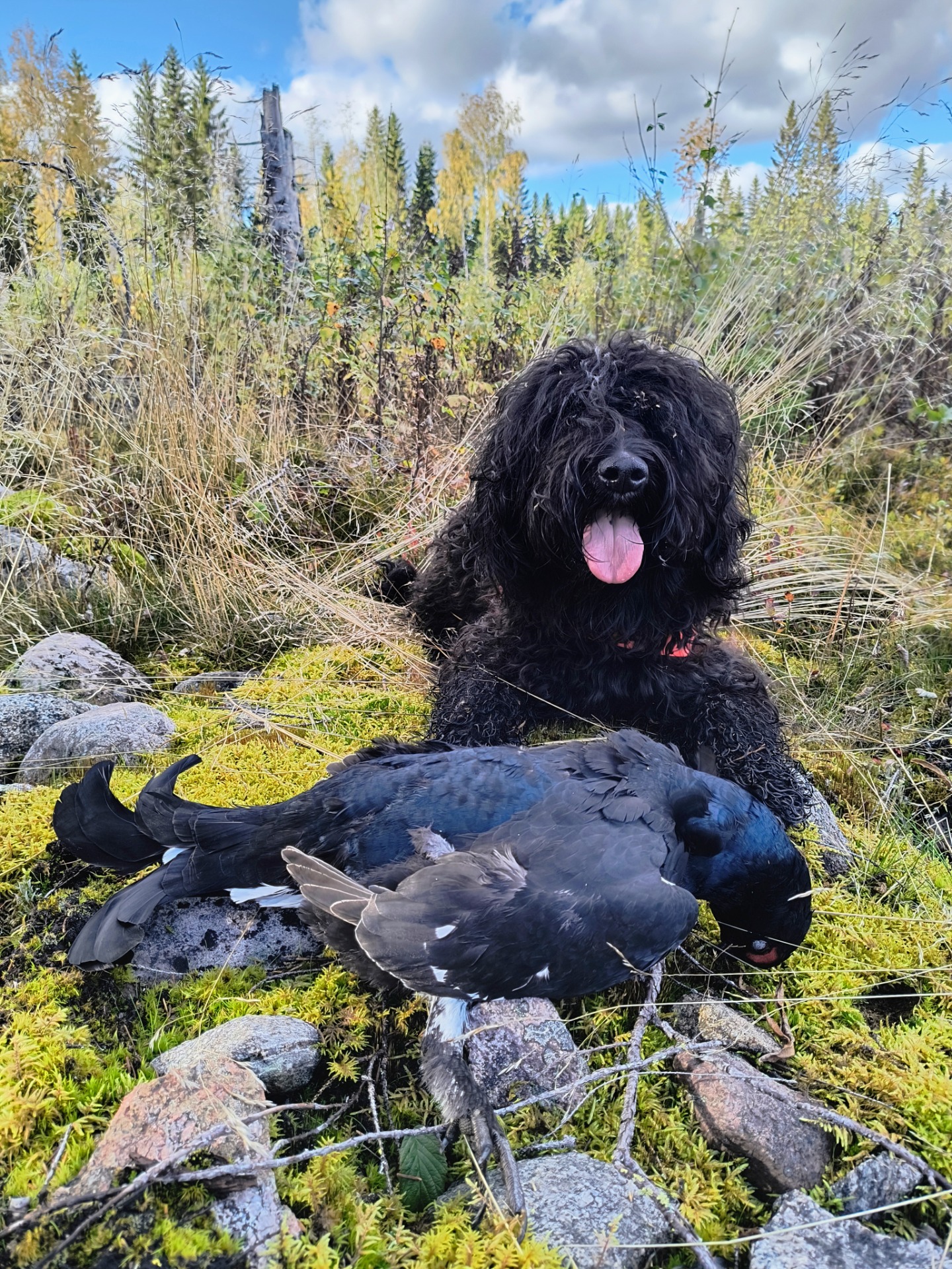 Impi ja syksyn satoa 🍂🪶