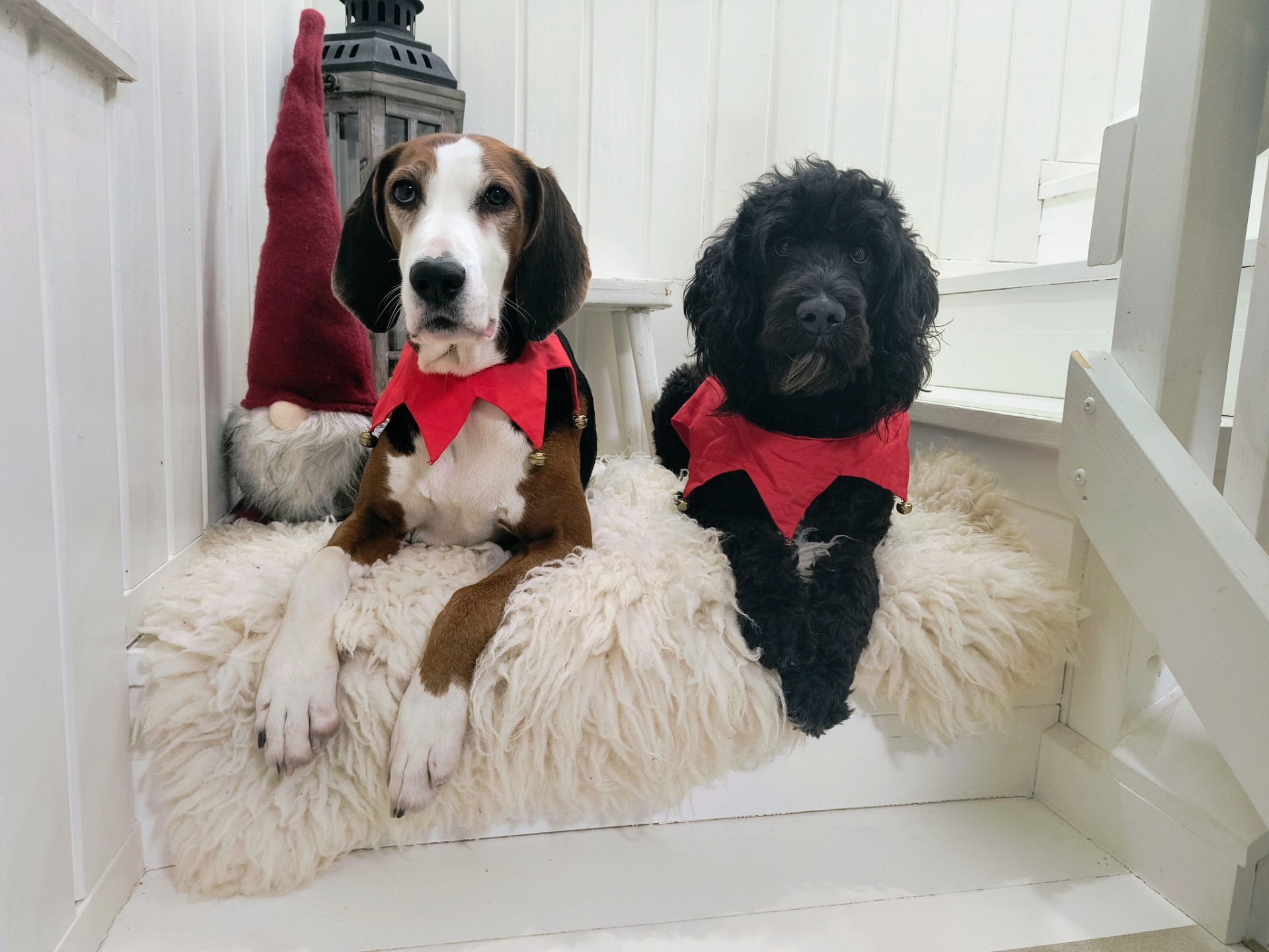 Ihanaa joulun odotusta 🖤🎄